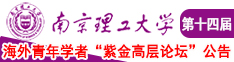 插我骚逼啊啊啊啊啊啊视频南京理工大学第十四届海外青年学者紫金论坛诚邀海内外英才！